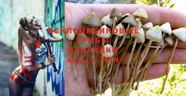 PSILOCYBIN Алзамай